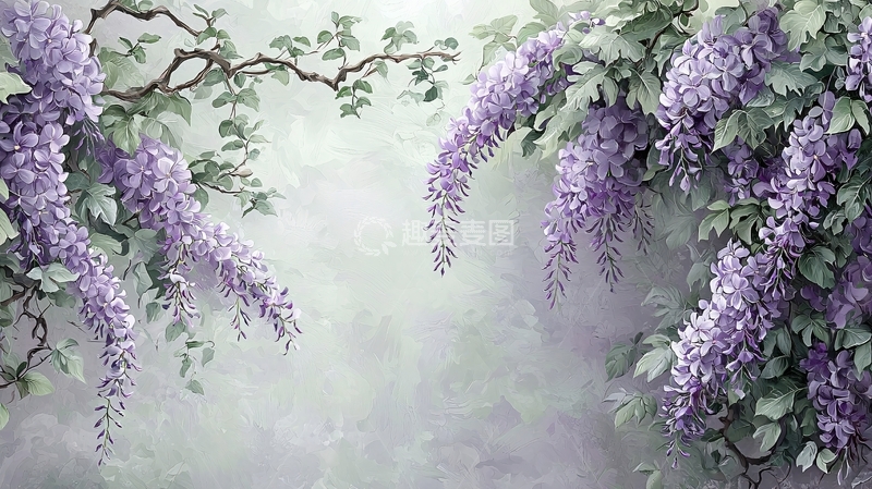 高清大图下载【趣麦麦图】紫色藤萝