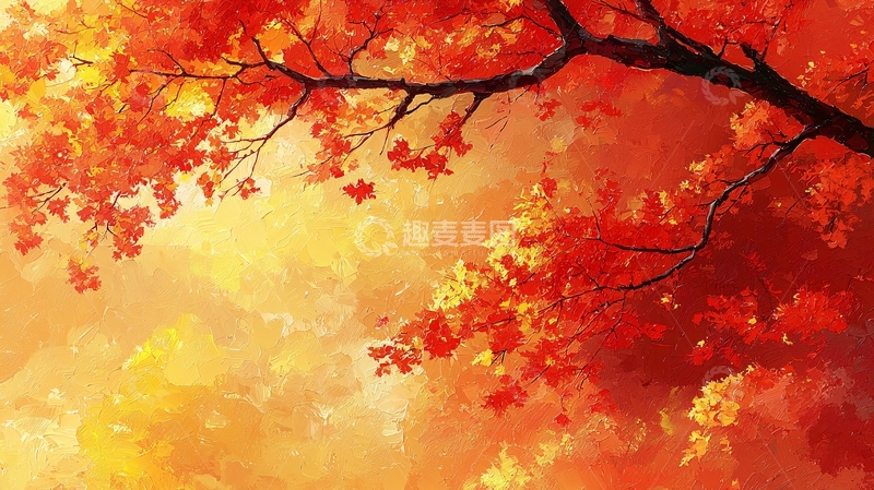 高清大图下载【趣麦麦图】秋日暖阳下的红叶树枝