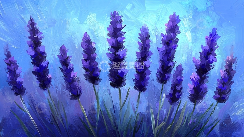 薰衣草花束插画