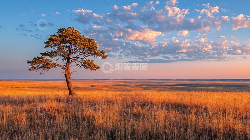 高清大图下载【趣麦麦图】草原