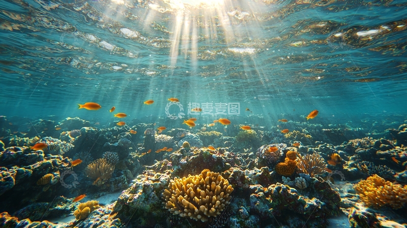 高清大图下载【趣麦麦图】阳光透过海水照射珊瑚礁