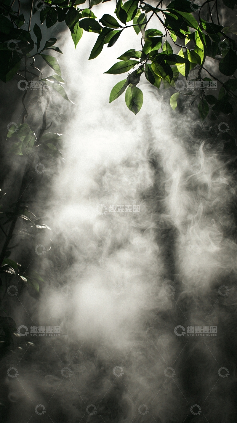 高清大图下载【趣麦麦图】光线透过树叶雾气森林