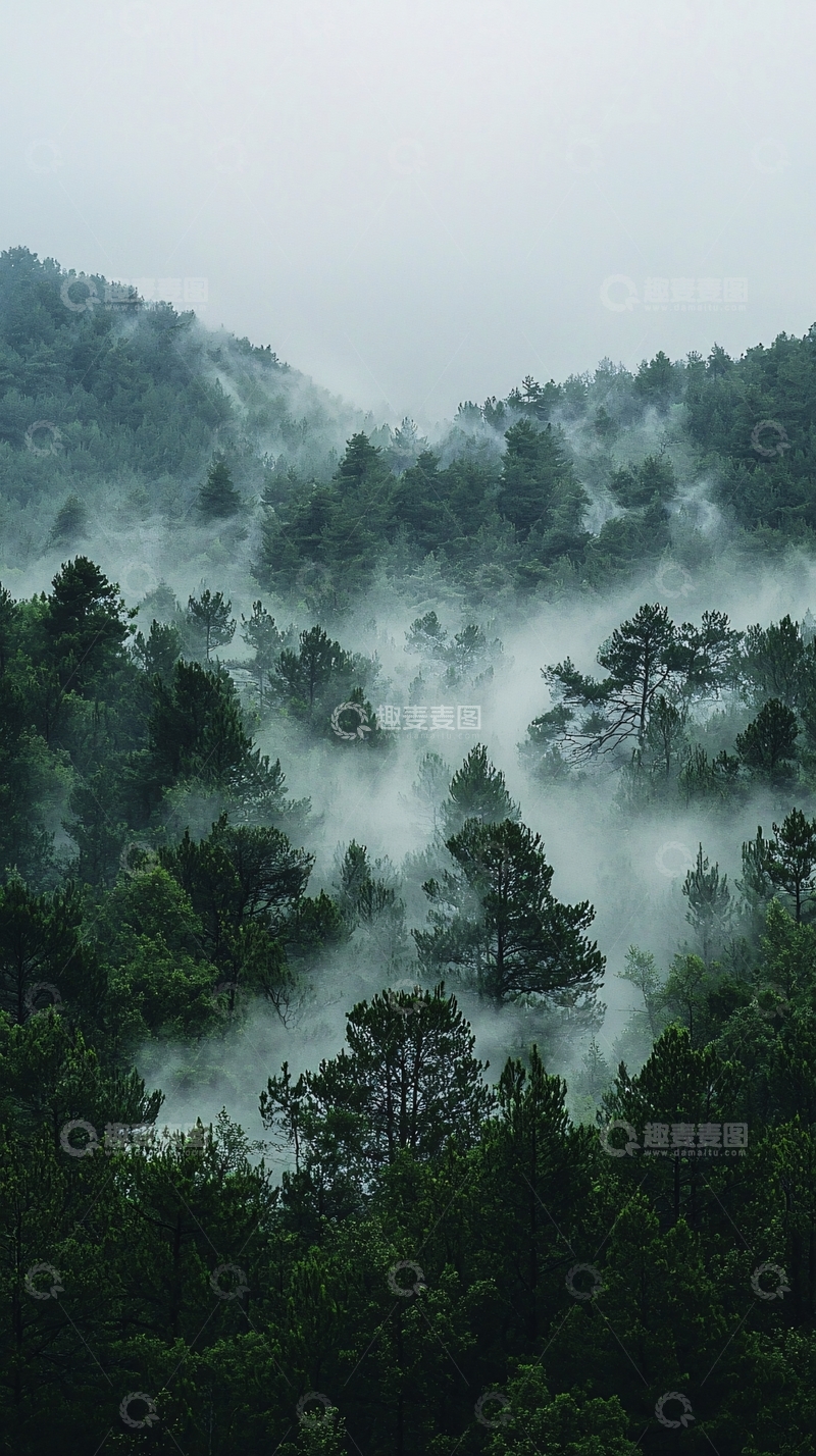 高清大图下载【趣麦麦图】雾气缭绕的绿色山林