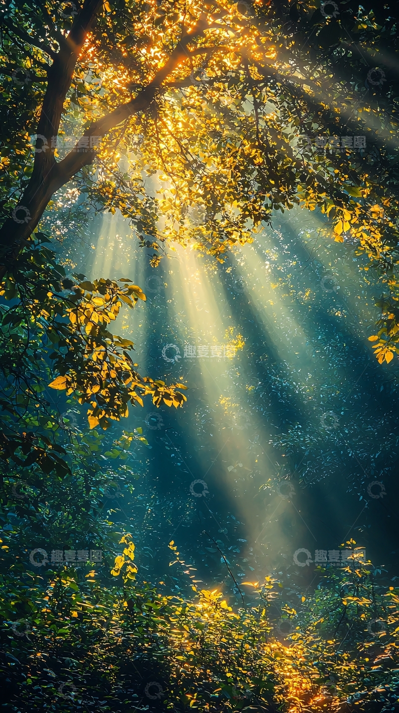 高清大图下载【趣麦麦图】森林阳光穿透树叶
