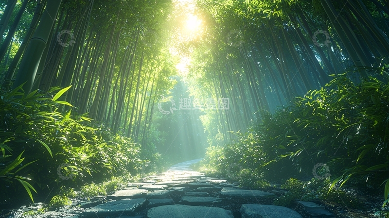高清大图下载【趣麦麦图】阳光洒进竹林小路