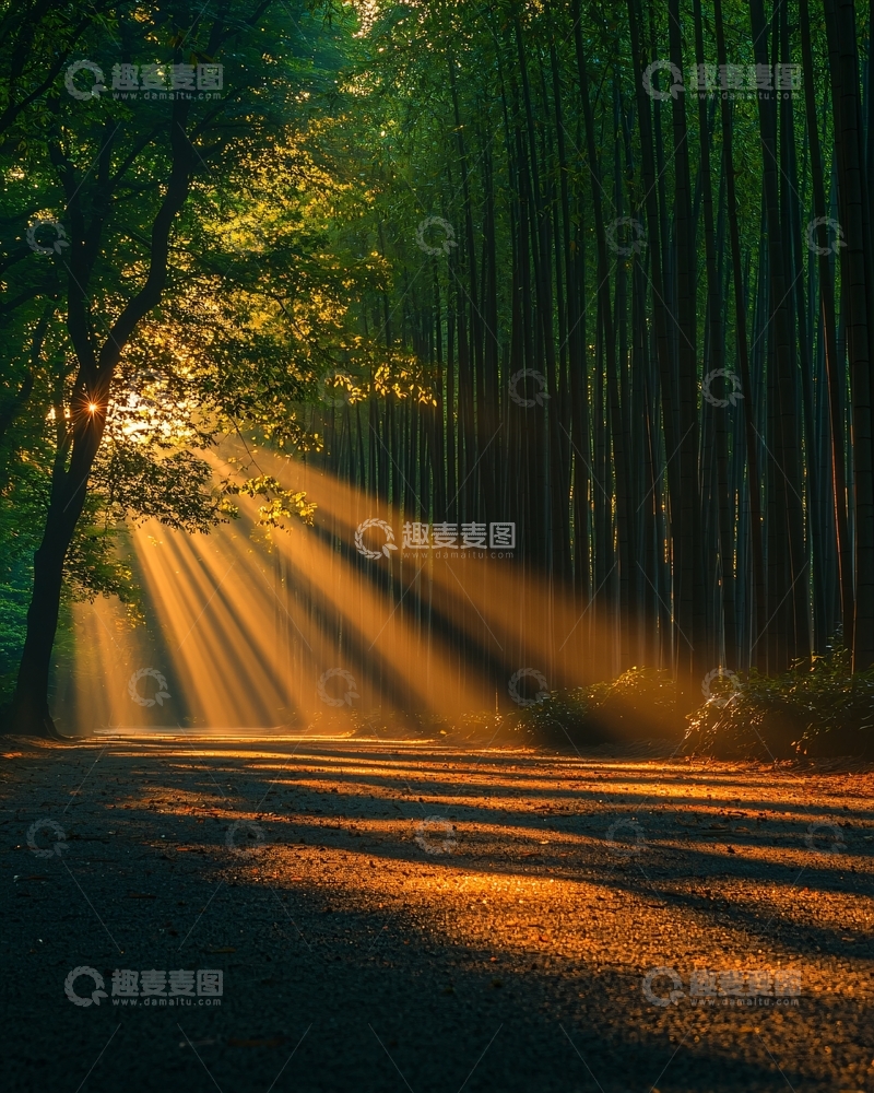 高清大图下载【趣麦麦图】森林阳光小路