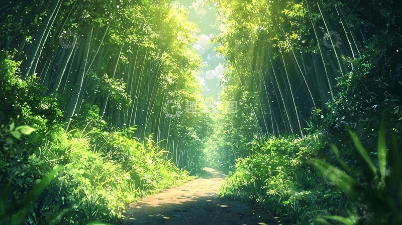 高清大图下载【趣麦麦图】阳光洒落竹林小路