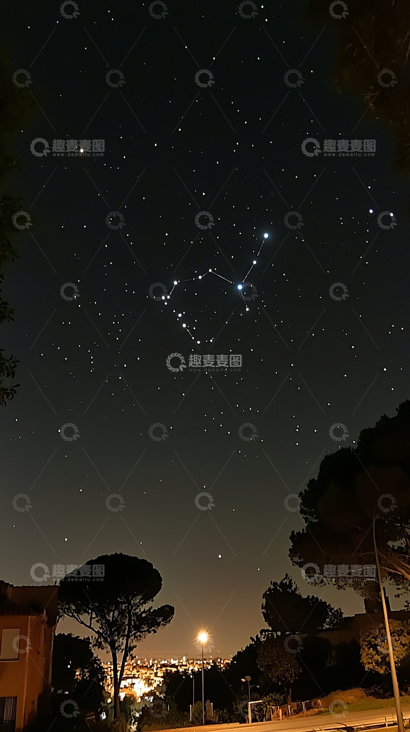 高清大图下载【趣麦麦图】夜空星空树木灯光城市