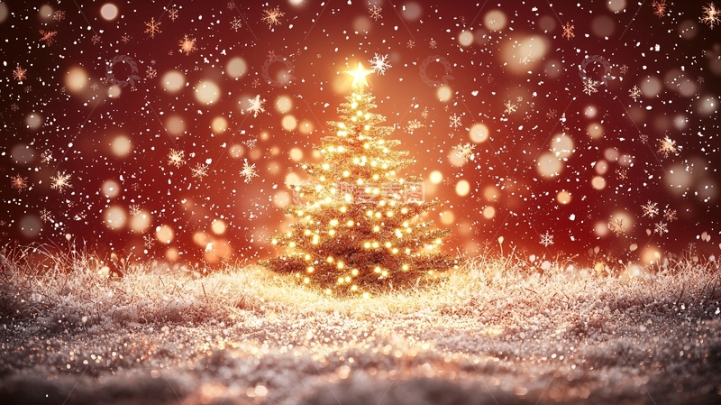 高清大图下载【趣麦麦图】圣诞树