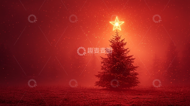 高清大图下载【趣麦麦图】雾中圣诞树