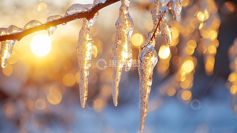 高清大图下载【趣麦麦图】冰凌在夕阳下的树枝