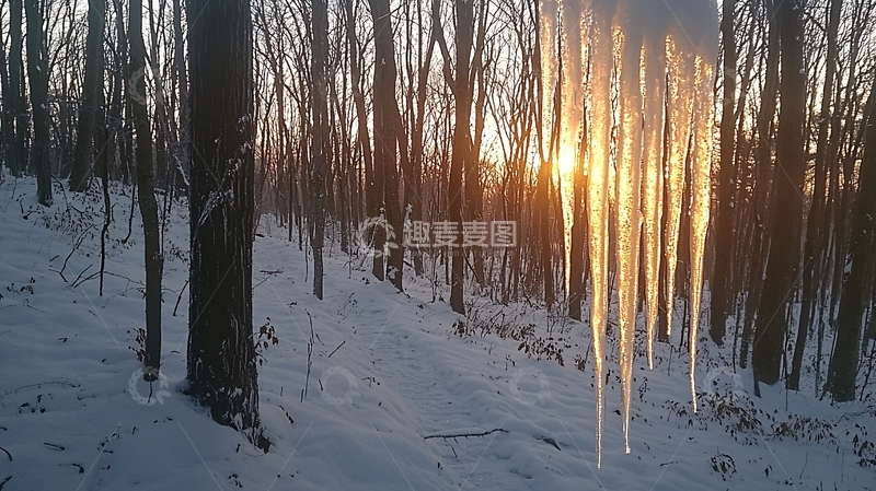 高清大图下载【趣麦麦图】冰柱日落森林雪景