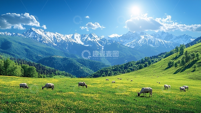 高清大图下载【趣麦麦图】阳光明媚的雪山牧场