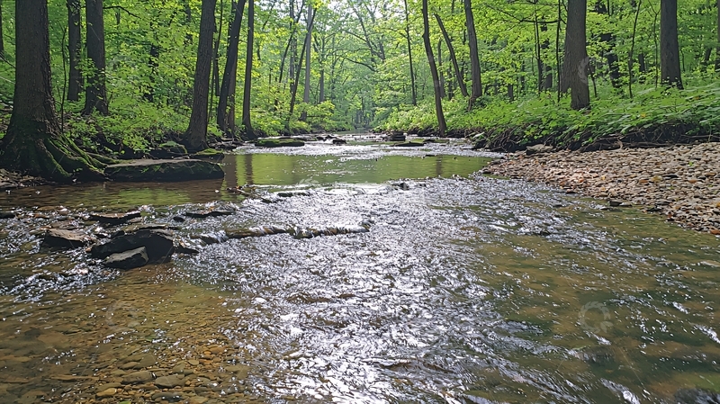 高清大图下载【趣麦麦图】森林溪流