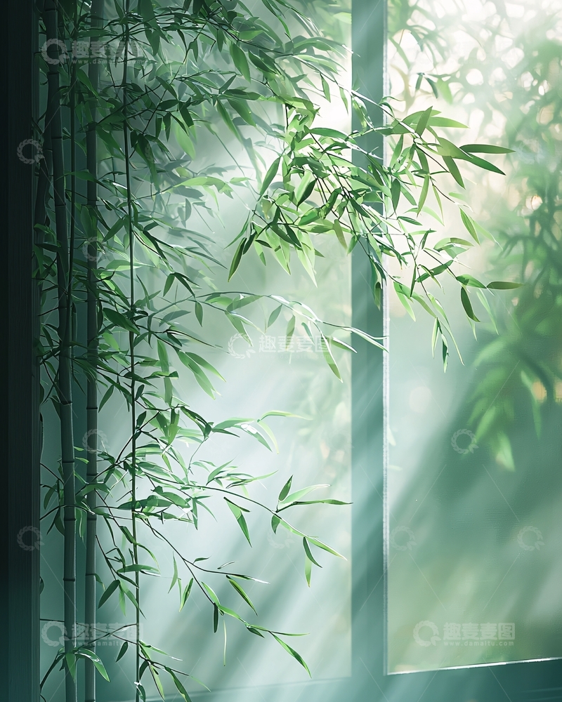 高清大图下载【趣麦麦图】窗边竹影阳光穿透