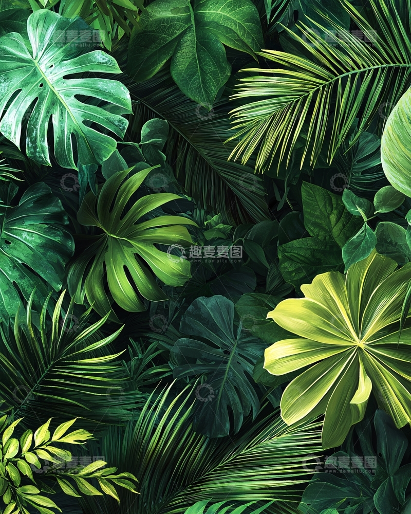 高清大图下载【趣麦麦图】热带雨林植物背景图
