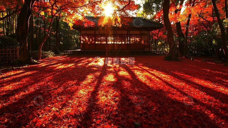高清大图下载【趣麦麦图】秋日红叶景色