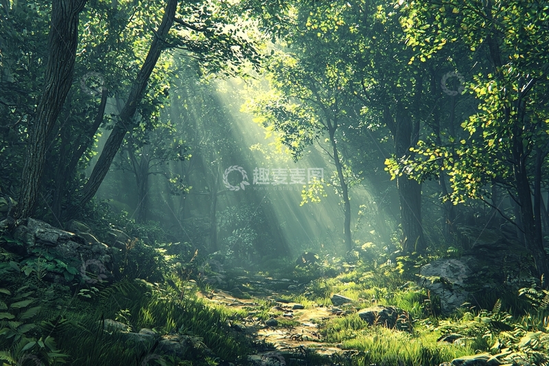 高清大图下载【趣麦麦图】森林小路阳光洒落