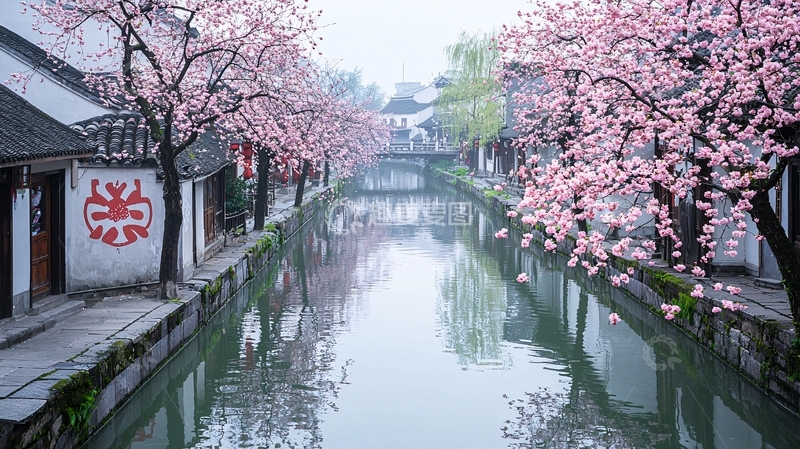 高清大图下载【趣麦麦图】粉红色的樱花与江南水乡