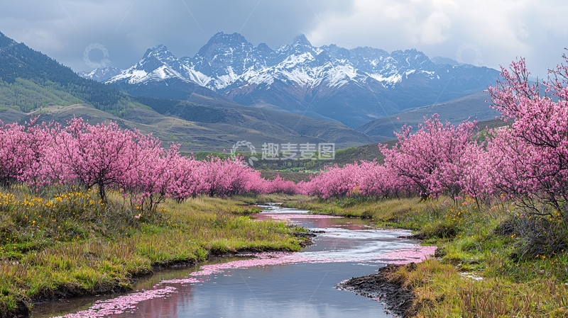 高清大图下载【趣麦麦图】雪山桃花溪流