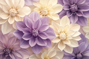 紫色和米色大丽花花墙