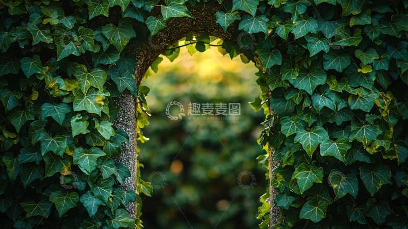 高清大图下载【趣麦麦图】绿叶拱门