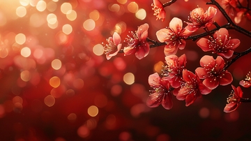 红粉色桃花枝条特写