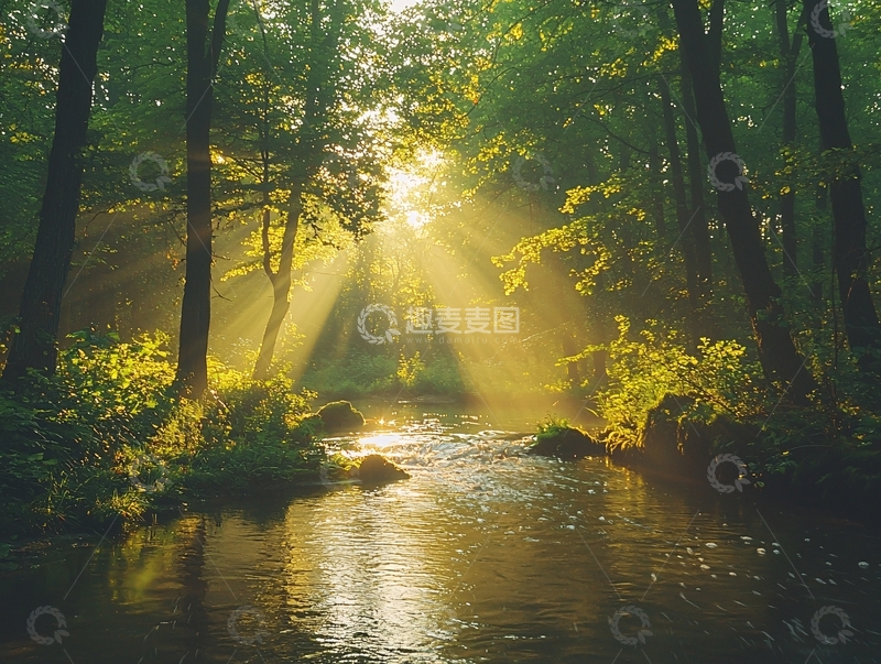 高清大图下载【趣麦麦图】清晨森林小溪阳光