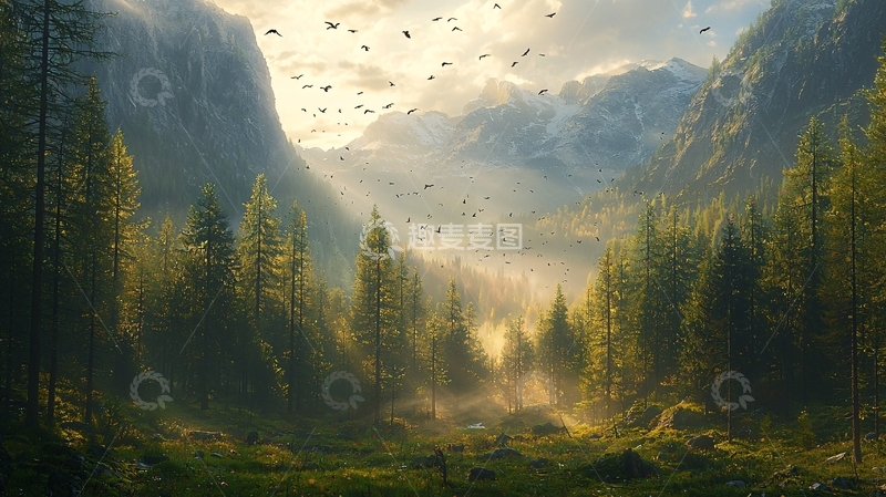 高清大图下载【趣麦麦图】山谷晨曦鸟群飞翔