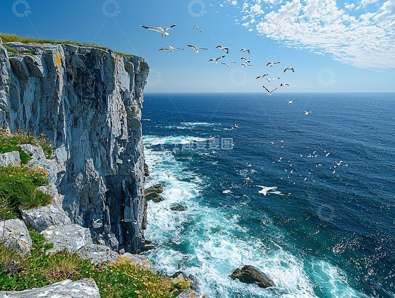 高清大图下载【趣麦麦图】悬崖海景飞鸟蓝天白云