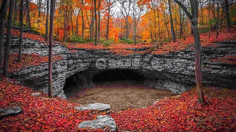 高清大图下载【趣麦麦图】秋日红叶森林洞穴