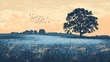 夕阳下孤树田野剪影