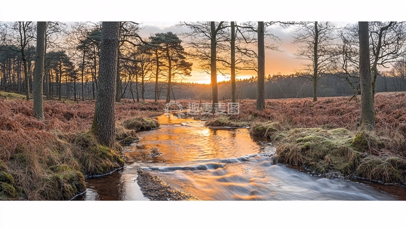 高清大图下载【趣麦麦图】夕阳西下森林小溪