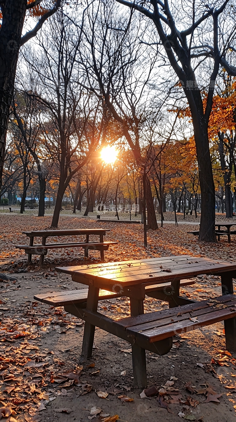 高清大图下载【趣麦麦图】秋日公园落叶黄昏