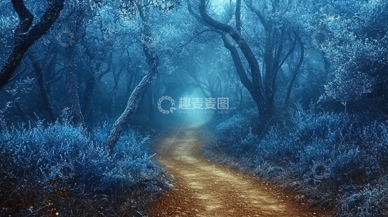 高清大图下载【趣麦麦图】蓝雾森林小路