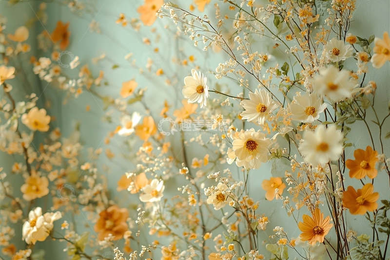 高清大图下载【趣麦麦图】温柔淡雅花卉背景