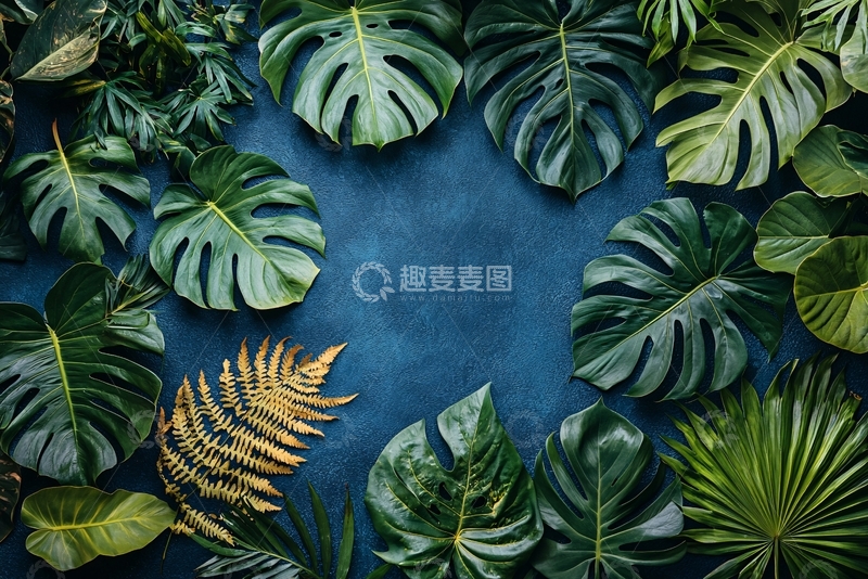 高清大图下载【趣麦麦图】热带雨林植物蓝背景