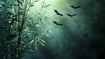 夜晚竹林蝙蝠