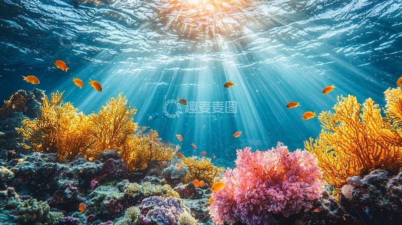 高清大图下载【趣麦麦图】阳光透过海水照射珊瑚礁