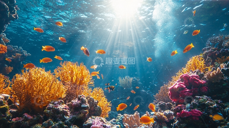 高清大图下载【趣麦麦图】阳光透过海水照射珊瑚礁