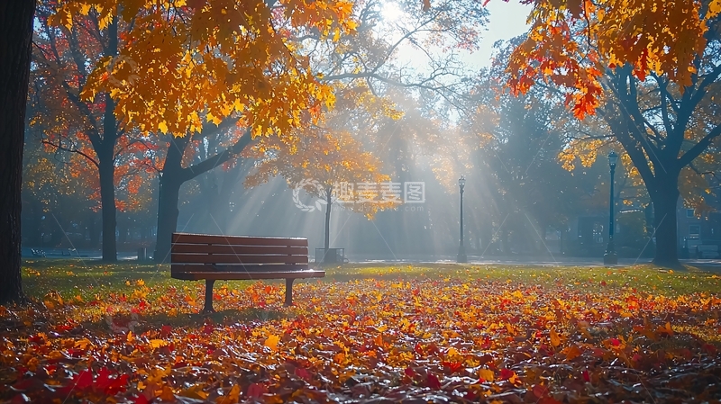 高清大图下载【趣麦麦图】秋日公园长椅落叶
