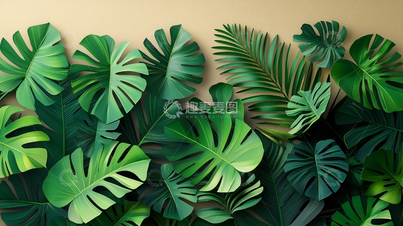 高清大图下载【趣麦麦图】热带植物叶子背景图