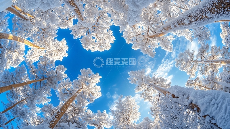 高清大图下载【趣麦麦图】雪景