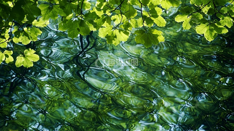 高清大图下载【趣麦麦图】绿叶倒影