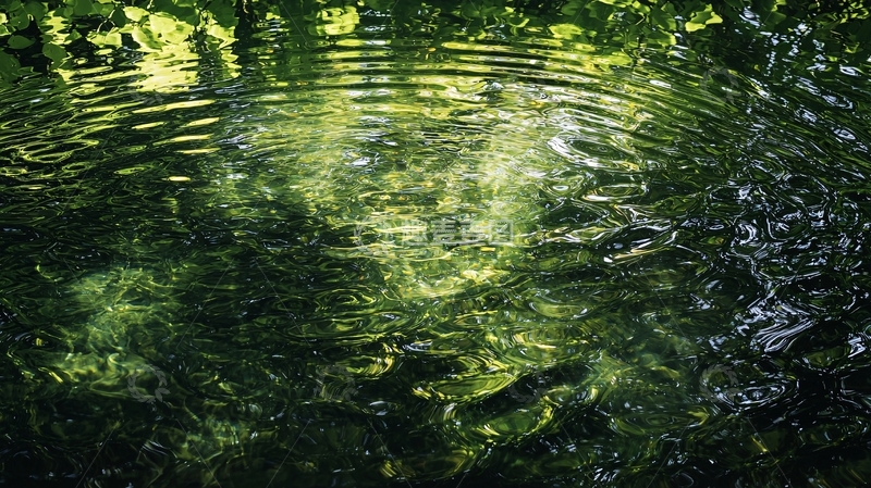 高清大图下载【趣麦麦图】清澈水面倒影绿叶