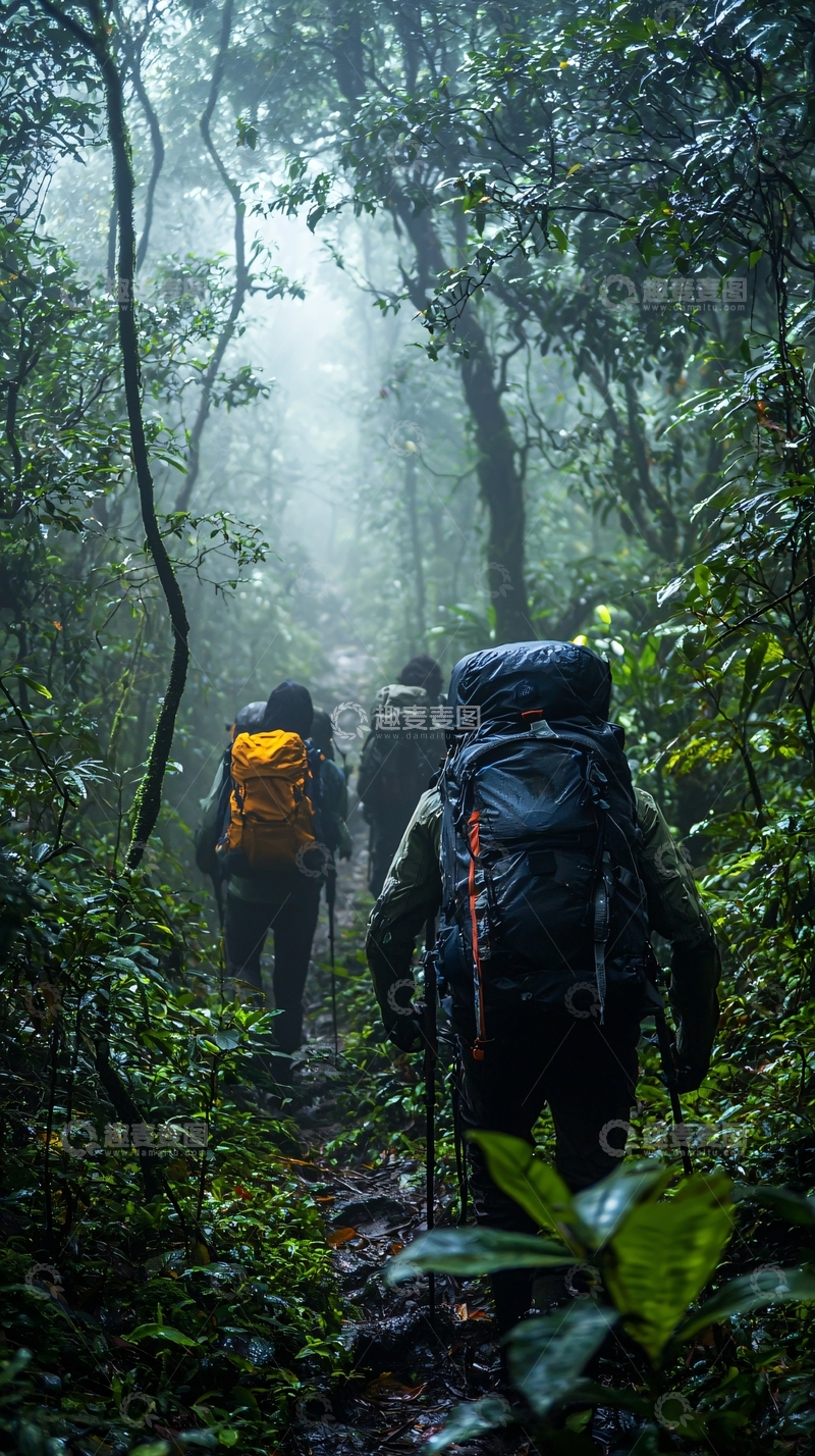 高清大图下载【趣麦麦图】雾气森林徒步旅行