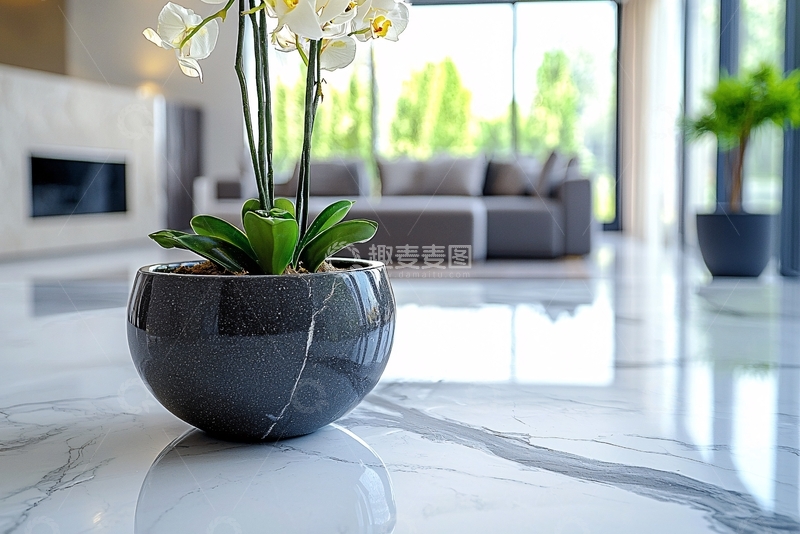 高清大图下载【趣麦麦图】现代简约客厅花卉盆栽