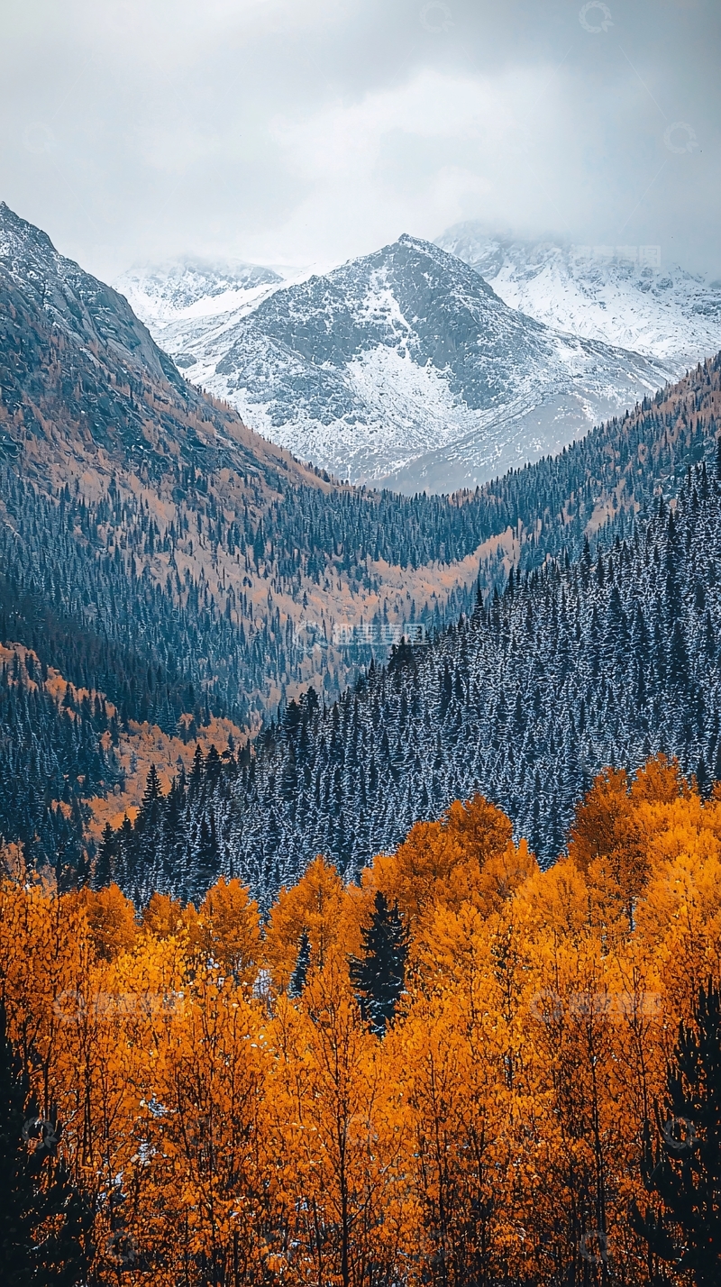 高清大图下载【趣麦麦图】秋日雪山森林景色