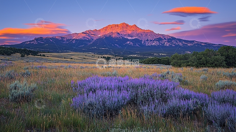 高清大图下载【趣麦麦图】落日余晖下的山脉花田