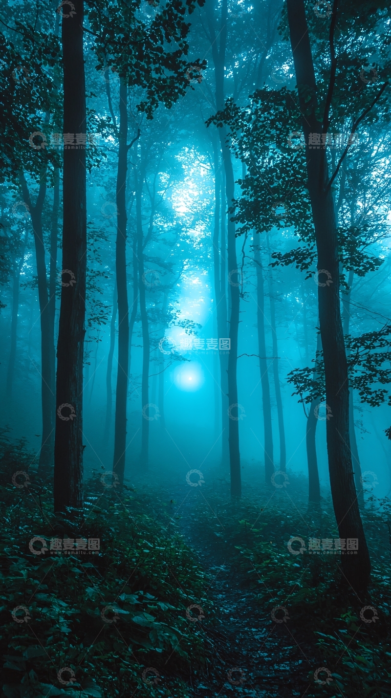 高清大图下载【趣麦麦图】-雾气森林小路